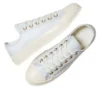 Chuck 70 Low Lace Trim “Egret Barely Grey”