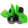 Chuck Taylor All Star Bow Back High Top “Black”