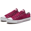 Chuck Taylor All Star Pro “Purple”