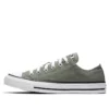 Chuck Taylor All Star Seasonal Color Low Top “Gray White”