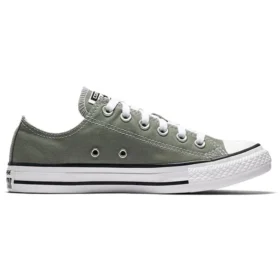 Chuck Taylor All Star Seasonal Color Low Top “Gray White”