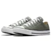 Chuck Taylor All Star Seasonal Color Low Top “Gray White”