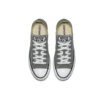 Chuck Taylor All Star Seasonal Color Low Top “Gray White”