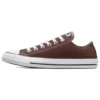 Chuck Taylor All Star Shoes “Eternal Earth”
