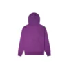 Men”s Converse Athleisure Casual Sports Purple