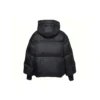 Short Down Fill Puffer Hooded Jacket Asia Sizing “Black”