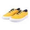 Skidgrip CVO “Gold Dart”
